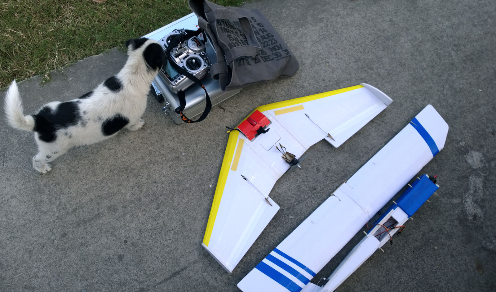 70%比例的FT Versa Wing